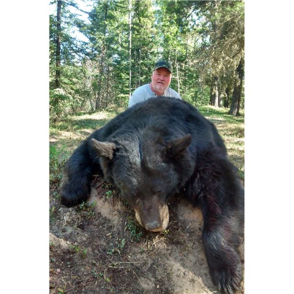 6-DAY ALBERTA BLACK BEAR/WOLF HUNT FOR ONE HUNTER