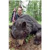 Image 2 : 6-DAY ALBERTA BLACK BEAR/WOLF HUNT FOR ONE HUNTER