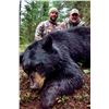 Image 3 : 6-DAY ALBERTA BLACK BEAR/WOLF HUNT FOR ONE HUNTER