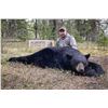 Image 4 : 6-DAY ALBERTA BLACK BEAR/WOLF HUNT FOR ONE HUNTER
