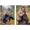Image 6 : 6-DAY ALBERTA BLACK BEAR/WOLF HUNT FOR ONE HUNTER