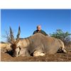 Image 1 : 10 DAY NAMIBIAN SAFARI (6 TROPHIES)/BIRD HUNT FOR 2 HUNTERS AND 2 OBSERVERS