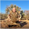 Image 2 : 10 DAY NAMIBIAN SAFARI (6 TROPHIES)/BIRD HUNT FOR 2 HUNTERS AND 2 OBSERVERS