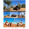 Image 11 : 2026/2027 AFRICAN CAPE BUFFALO HOOK & BARREL SAFARI FOR 2 HUNTERS & 2 OBSERVERS