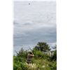 Image 1 : 4 DAY/3 NIGHT (6 HUNTS) ARGENTINA HIGH VOLUME DOVE HUNT FOR 4 HUNTERS