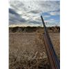 Image 5 : 4 DAY/3 NIGHT (6 HUNTS) ARGENTINA HIGH VOLUME DOVE HUNT FOR 4 HUNTERS