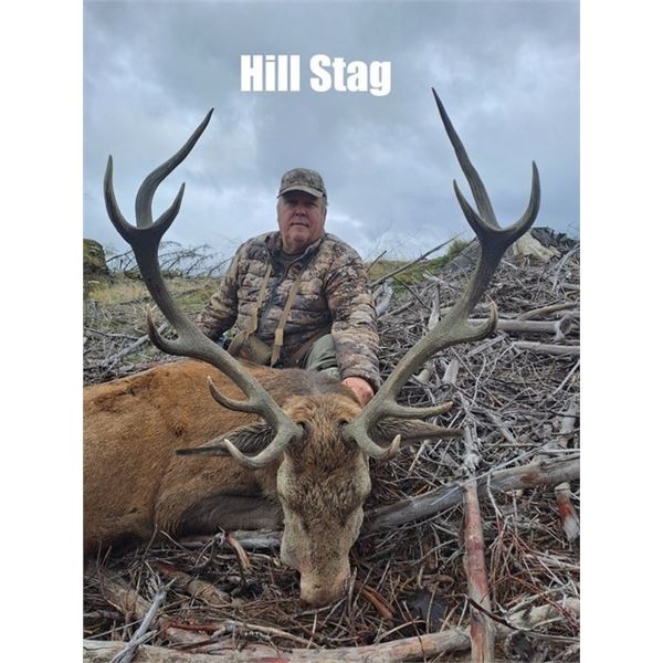 SCOTLAND RED STAG HUNT FOR ONE HUNTER