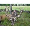 Image 4 : SCOTLAND RED STAG HUNT FOR ONE HUNTER