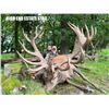 Image 5 : SCOTLAND RED STAG HUNT FOR ONE HUNTER