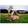 Image 7 : SCOTLAND RED STAG HUNT FOR ONE HUNTER