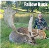 Image 8 : SCOTLAND RED STAG HUNT FOR ONE HUNTER