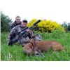 Image 1 : SCOTLAND SPRING ROE DEER HUNT FOR ONE HUNTER INCLUDES 2 BUCKS
