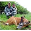 Image 4 : SCOTLAND SPRING ROE DEER HUNT FOR ONE HUNTER INCLUDES 2 BUCKS