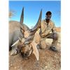 Image 6 : 7 DAY NAMIBIA HUNT FOR 1 HUNTER AND 1 OBSERVER, INCLUDES 1 LARGE ANIMAL AND 1  SMALL ANIMAL