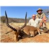 Image 7 : 7 DAY NAMIBIA HUNT FOR 1 HUNTER AND 1 OBSERVER, INCLUDES 1 LARGE ANIMAL AND 1  SMALL ANIMAL