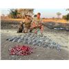 Image 9 : 7 DAY NAMIBIA HUNT FOR 1 HUNTER AND 1 OBSERVER, INCLUDES 1 LARGE ANIMAL AND 1  SMALL ANIMAL