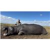 Image 1 : 7 DAY CAPRIVI, NAMIBIA SAFARI - INCLUDES ONE NON-EXPORTABLE/NON-TROPHY HIPPO