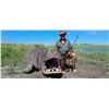 Image 3 : 7 DAY CAPRIVI, NAMIBIA SAFARI - INCLUDES ONE NON-EXPORTABLE/NON-TROPHY HIPPO