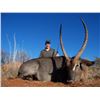 Image 14 : 7 DAY DANGEROUS GAME HUNT FOR 2 HUNTERS, INCLUDES TROPHY FEE FOR ONE CAPE BUFFALO