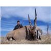 Image 15 : 7 DAY DANGEROUS GAME HUNT FOR 2 HUNTERS, INCLUDES TROPHY FEE FOR ONE CAPE BUFFALO