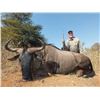 Image 1 : 10 DAY PLAINS GAME HUNTING SAFARI IN SOUTH AFRICA FOR 2 HUNTERS