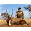 Image 3 : 10 DAY PLAINS GAME HUNTING SAFARI IN SOUTH AFRICA FOR 2 HUNTERS