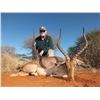 Image 4 : 10 DAY PLAINS GAME HUNTING SAFARI IN SOUTH AFRICA FOR 2 HUNTERS