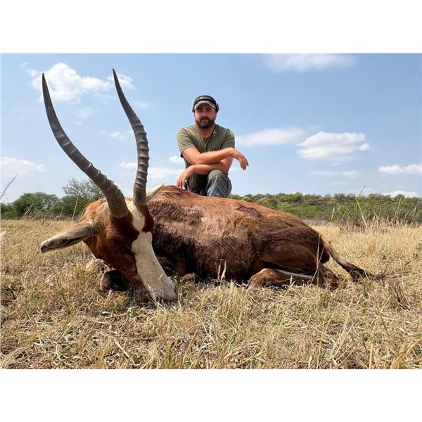 2027/2028 - 6 DAY SOUTH AFRICAN SAFARI FOR FOUR HUNTERS, COWS/EWES AND NIGHT HUNTS