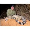 Image 9 : 2027/2028 - 6 DAY SOUTH AFRICAN SAFARI FOR FOUR HUNTERS, COWS/EWES AND NIGHT HUNTS