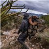 Image 10 : STONE GLACIER COL 4800 XCURVE FRAME MEDIUM BELT IN RANGER