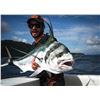 Image 10 : SIX DAY/FIVE NIGHT TROPICAL ADVENTURE (2 DAYS SPORTFISHING)  IN COSTA RICA FOR TWO