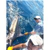 Image 12 : SIX DAY/FIVE NIGHT TROPICAL ADVENTURE (2 DAYS SPORTFISHING)  IN COSTA RICA FOR TWO