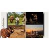 Image 6 : 5 DAYS 2 HUNTERS 2 NYALA BULLS KWAZULU NATAL SOUTH AFRICA