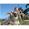 Image 3 : CATENA SAFARIS ARGENTINA All INCLUSIVE HUNTING TRIP, 5 DAYS FOR 4 HUNTERS WITH 4 ANIMALS INCLUDED