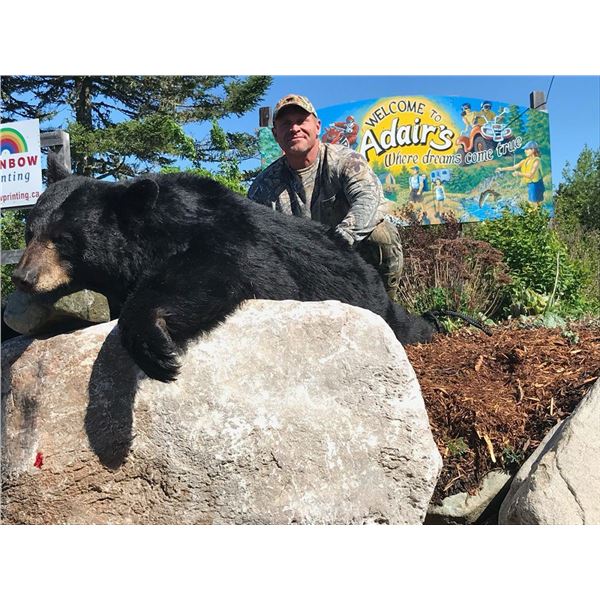 BLACK BEAR HUNT FOR 2 HUNTERS IN NEW BRUNSWICK, CANADA