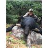 Image 3 : BLACK BEAR HUNT FOR 2 HUNTERS IN NEW BRUNSWICK, CANADA
