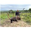 Image 1 : Eastern Cape South Africa 10 days for Two Hunters includes 4 Animals