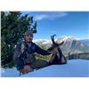 Image 1 : 2-Day Pyrenean Chamois Hunt in Spain with Wine Tasting & Barcelona Tour