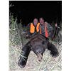 Image 1 : MONTANA BLACK BEAR AND MIRRIAM'S TURKEY HUNT COMBO