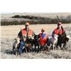 Image 3 : PHEASANT HUNT FOR 2 IN SOUTH DAKOTA