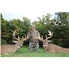 Image 3 : FIVE STAR OHIO WHITETAIL HUNT FOR TWO