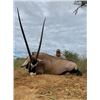 Image 1 : North West Province African Safari 5 animals 2 hunters