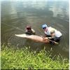Image 2 : Jurassic Living Jewels – Florida Arapaima Fishing Trip for 2