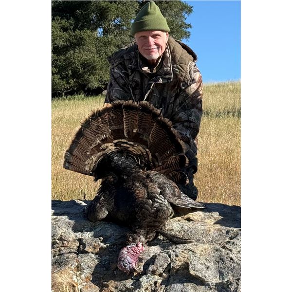 Three-Day Texas Rio Grande Turkey Hunt - Two Birds Included