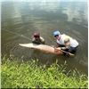 Image 2 : Jurassic Living Jewels – Florida Arapaima Fishing Trip for 2
