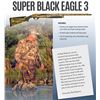 Image 1 : SCI Rob Roberts Performance Customized Benneli Super Black Eagle 3 ( One of only Twenty Five)