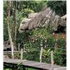 Image 10 : Belize: 6 Day 5 Night Jungle Retreat for Two People