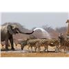 Image 14 : Namibia: 9 Day Fishing & Etosha Park trip for 2 Anglers, Includes 3 Ocean & 3 River Days of fishing.