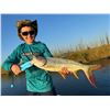 Image 7 : Namibia: 9 Day Fishing & Etosha Park trip for 2 Anglers, Includes 3 Ocean & 3 River Days of fishing.