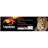 Image 10 : Mozambique: 2027 14 Day Leopard Hunt for 1 Hunter, Includes the Trophy Fee for 1 Leopard Plus Extras